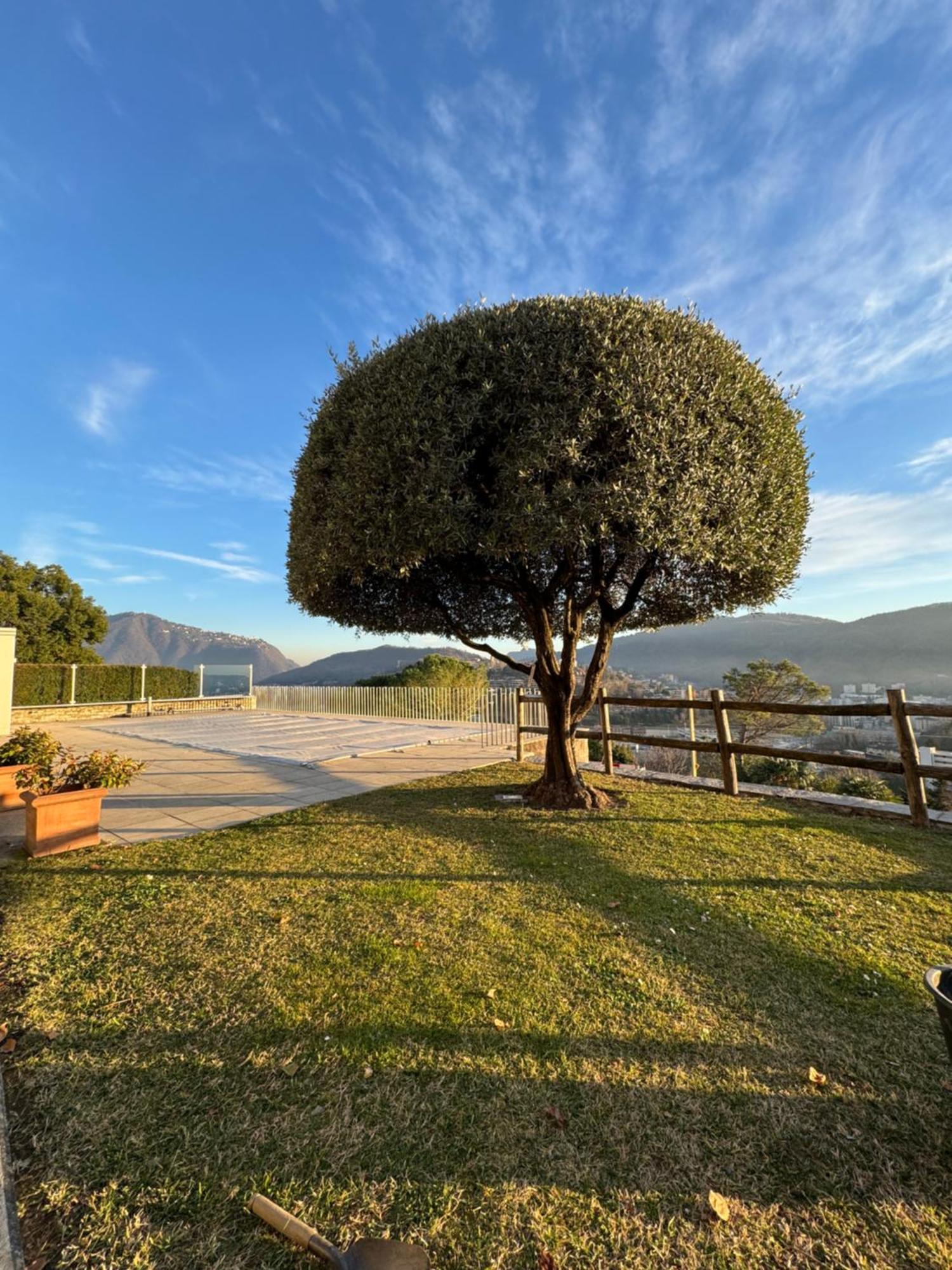 Veralto - Modern Suite With Como Lake View Vacallo Dış mekan fotoğraf